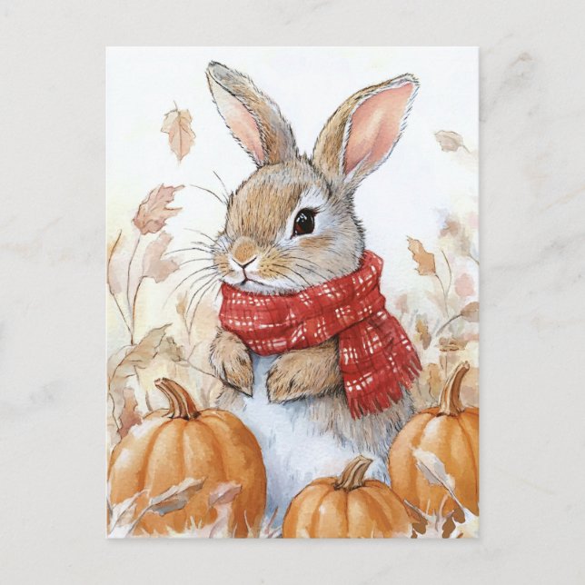 Carte Postale Lapin Lapin Automne Citrouille Illustration (Devant)