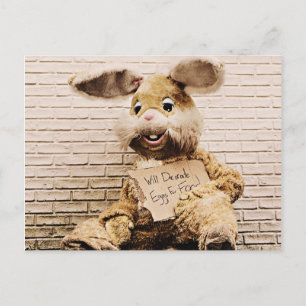 Carte Postale Lapin Mendiant, Costume De Lapin, Drôle
