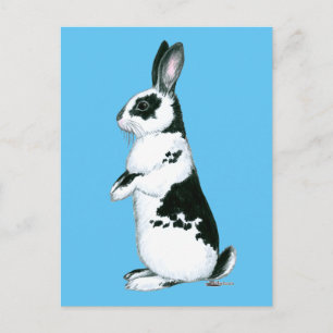 Carte Postale Lapin : Noir et Blanc