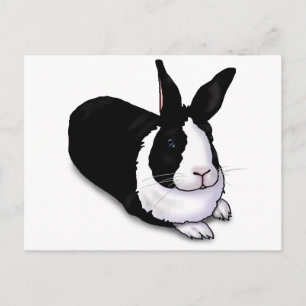 Carte Postale Lapin noir et blanc