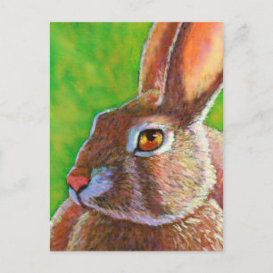 Carte Postale Lapin Sage