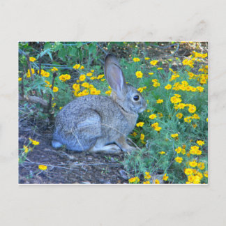 Carte Postale Lapin sauvage en Fleurs Jaunes