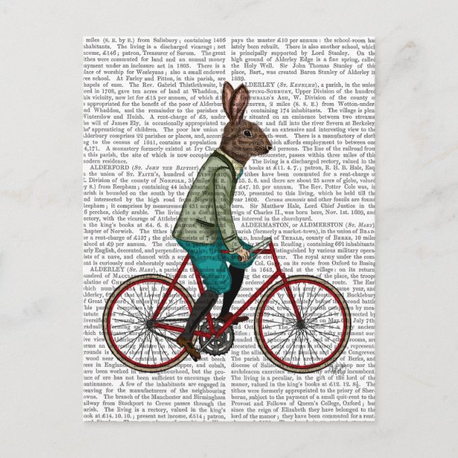 Carte Postale Lapin Sur Vélo 2 (Devant)