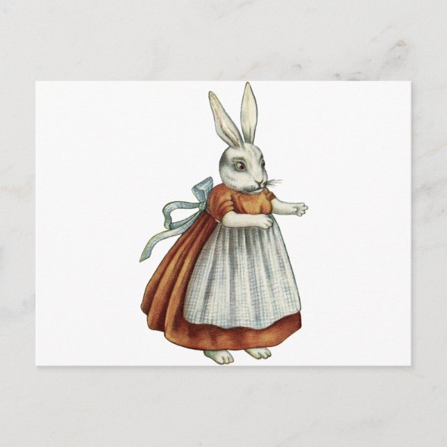 Carte Postale Lapin vintage (Devant)