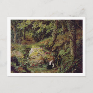 Carte Postale Lapins errants