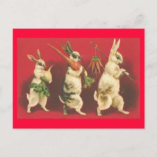 Carte postale lapins et carottes (Devant)