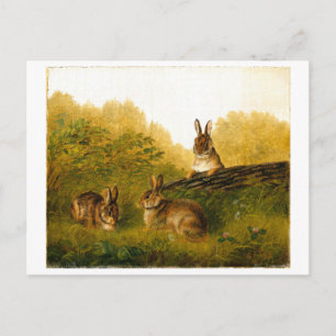 Carte Postale Lapins sur une bûche par Arthur Fitzwilliam Tait
