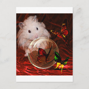 CARTE POSTALE L'APRENTICE