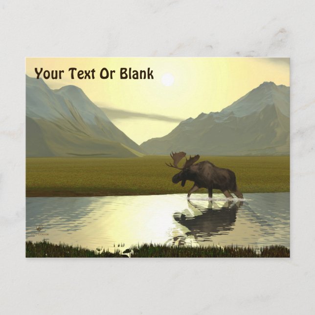 Carte Postale L'après-midi Moose (Devant)