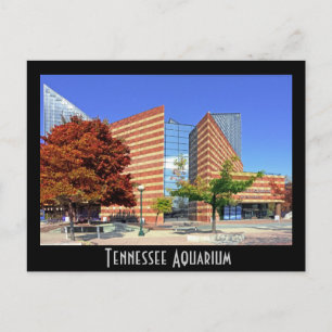 Carte Postale L'aquarium du Tennessee - Chattanooga, TN.