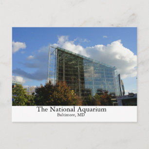 Carte Postale L'Aquarium National