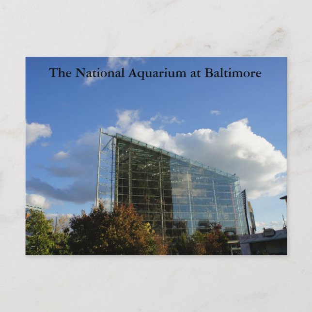 Carte Postale L'Aquarium National de Baltimore (Devant)