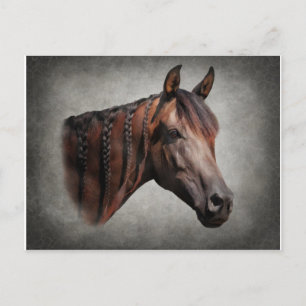 Carte Postale L'arabe