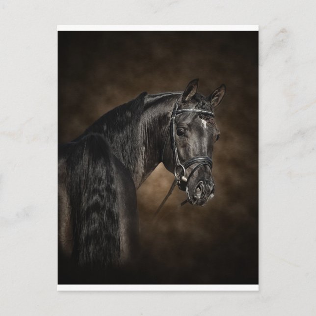 Carte Postale L'arabe (Devant)