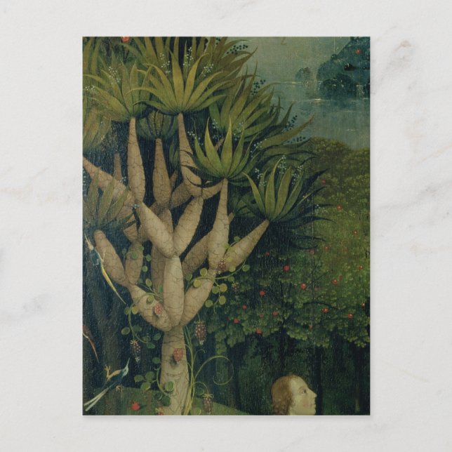 Carte Postale L'arbre de la connaissance du bien et du mal (Devant)