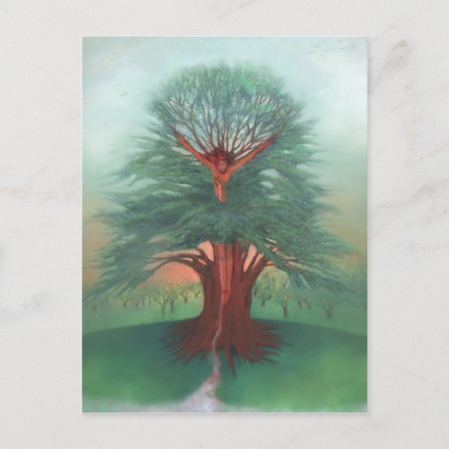 Carte Postale L'arbre de la guérison (Devant)