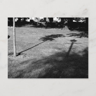 Carte Postale L'arbre et le lampadaire étaient amis