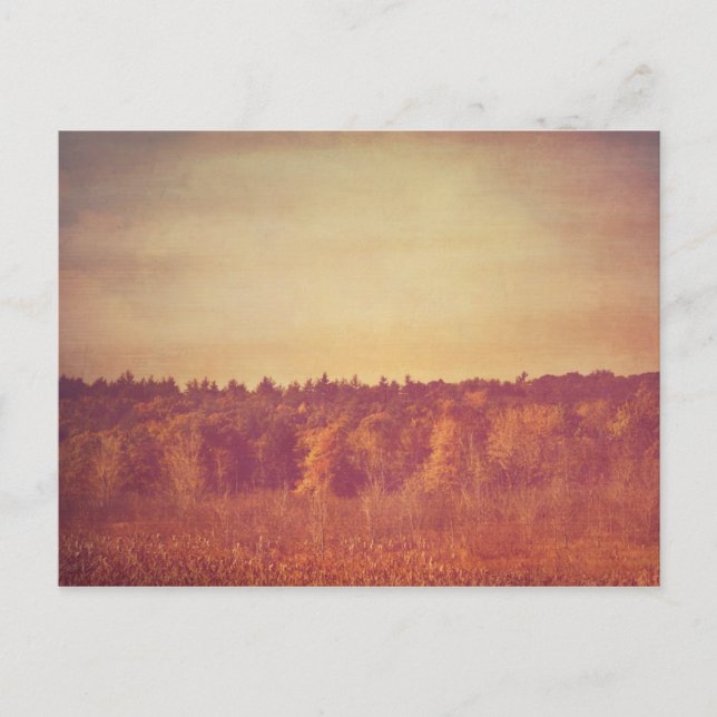 Carte postale Large Open Spaces (Devant)