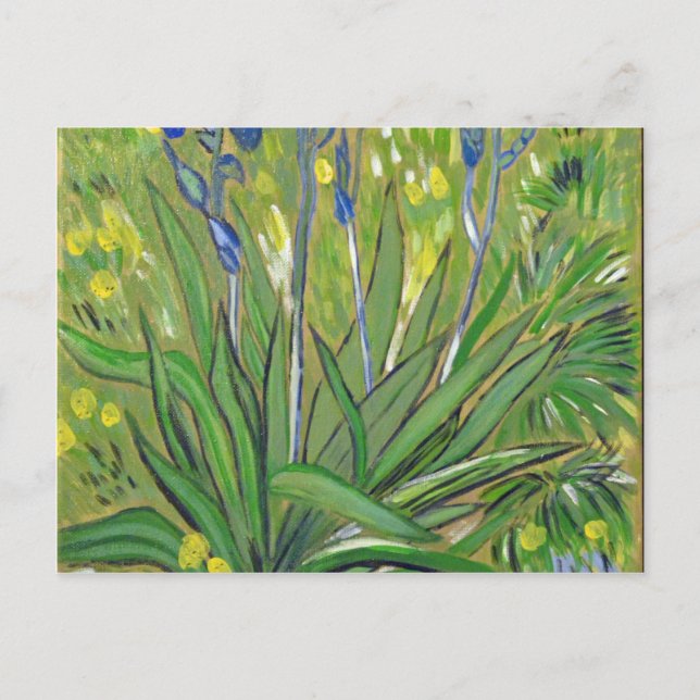 Carte Postale L'art de Van Gogh  Iris, reproduction acrylique (Devant)