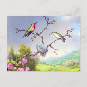 Carte Postale L'art des colibris et des fleurs