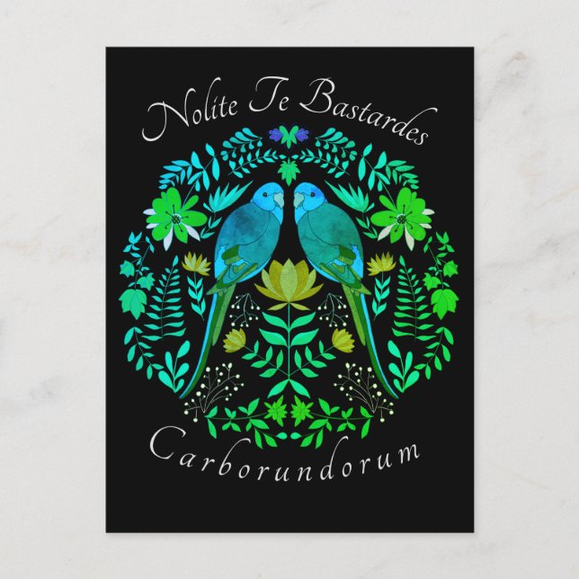 Carte Postale L'art féministe Nolite Te Bastardes Carborundorum  (Devant)