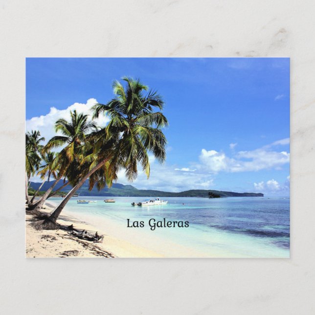 Carte Postale Las Galeras, République Dominicaine scène tropical (Devant)