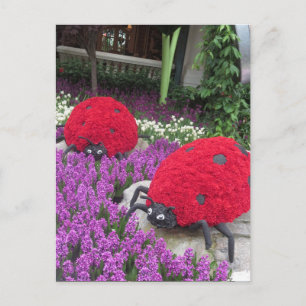 Carte Postale Las Vegas Butterfly Garden Flower Ladybug UNIQUE G