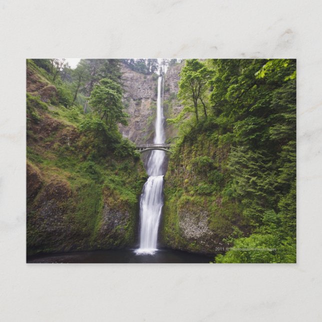 Carte Postale Latourell Falls & Bridge Columbia River Gorge (Devant)