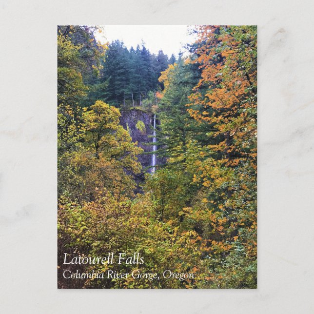 Carte Postale Latourell Falls, Columbia River Gorge, Oregon Post (Devant)