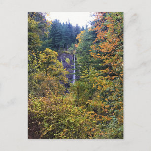 Carte Postale Latourell Falls, Gorge du Columbia, Oregon