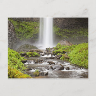 Carte Postale Latourell Falls, gorge du Columbia, Oregon,