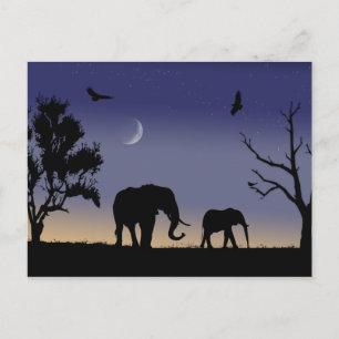 Carte Postale L'aube africaine - éléphants