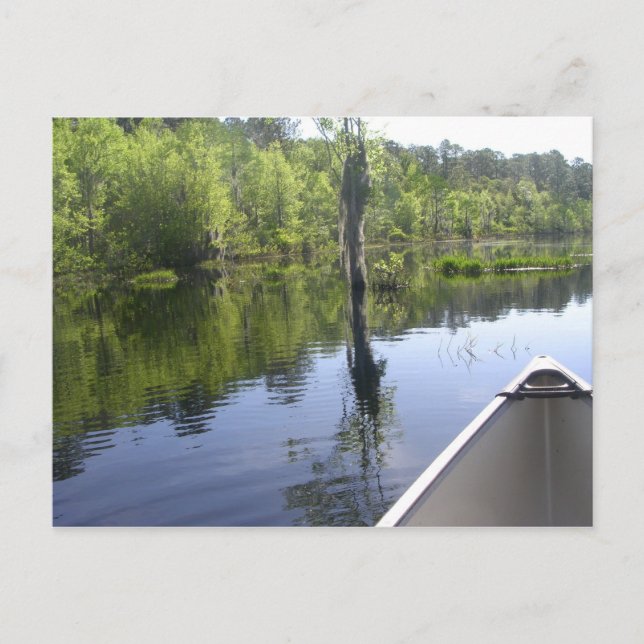 CARTE POSTALE "LAURA S. WALKER STATE PARK" (Devant)