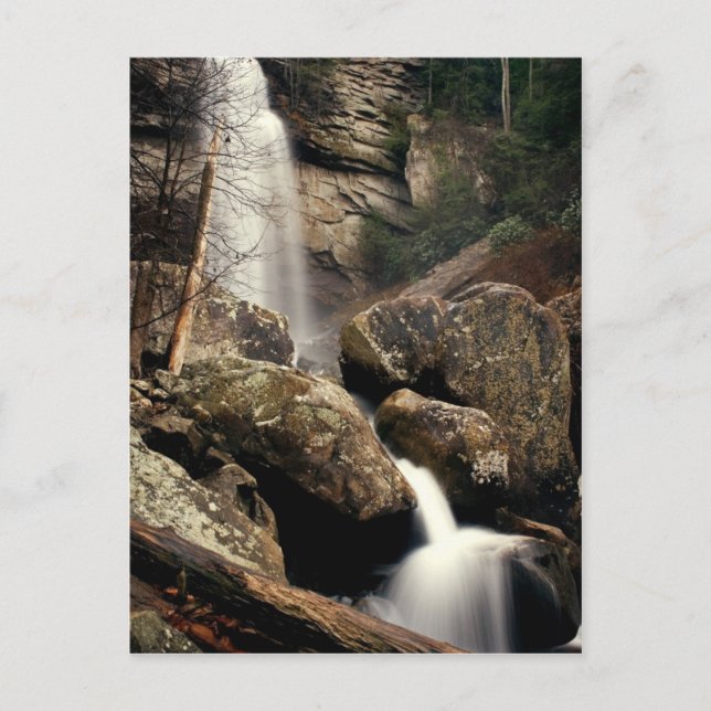 Carte Postale Laurel Falls (Devant)
