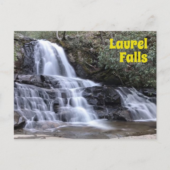 Carte Postale Laurel Falls dans les Great Smoky Mountains (Devant)