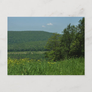 Carte Postale Laurel Highlands Pennsylvania Summer Photography