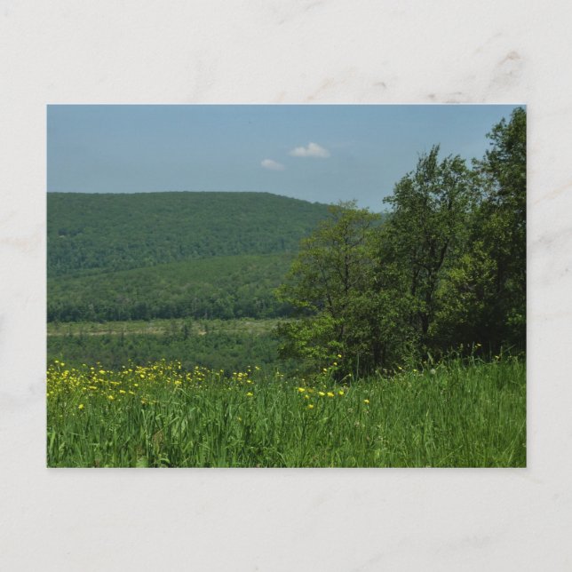 Carte Postale Laurel Highlands Pennsylvania Summer Photography (Devant)