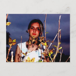 Carte postale Lauren1