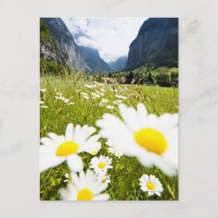 Carte Postale Lauterbrunnen, Suisse