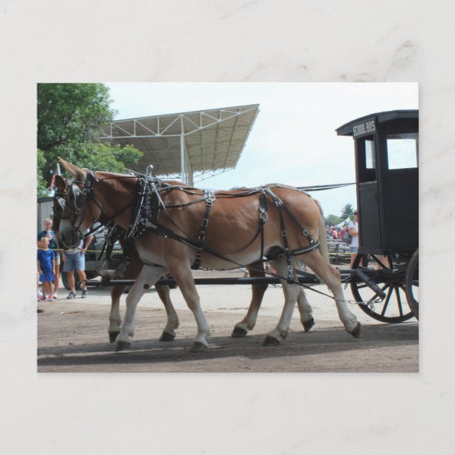 Carte Postale L'autobus tracté par des mulets (Devant)