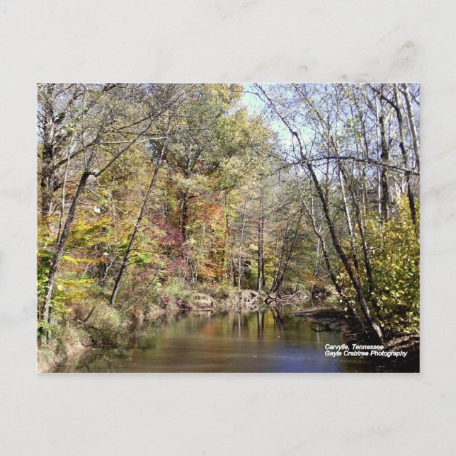 Carte Postale L'automne à Caryville, Tennessee (Devant)