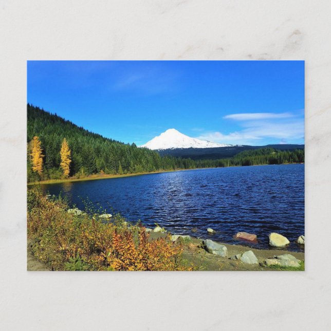 Carte Postale L'automne au lac Trillium, OR (Devant)