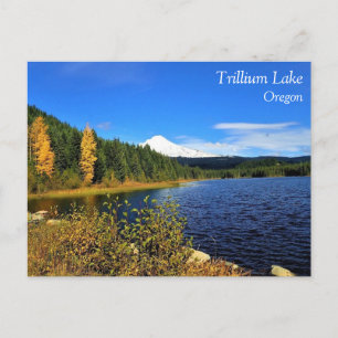 Carte Postale L'automne au lac Trillium, OR