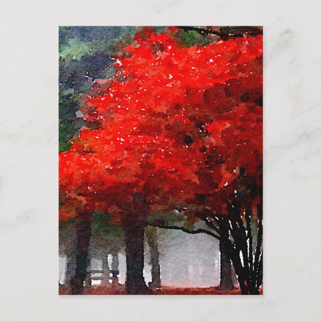 Carte Postale L'automne brûlant (Devant)