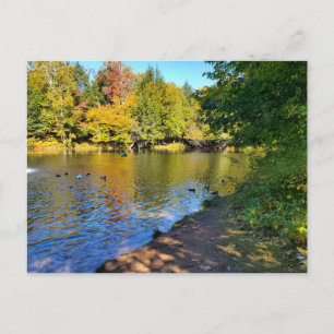 Carte Postale L'automne dans le Michigan
