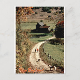 Carte Postale L'automne en Nouvelle-Angleterre : une vue vintage