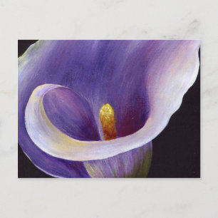 Carte Postale Lavande Calla Lily