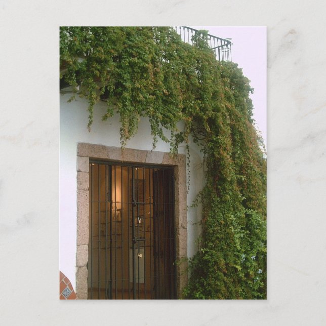 Carte Postale L'avant d'un bâtiment à Taxco avec une vigne (Devant)