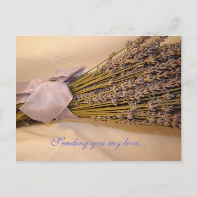 Carte postale Lavendar (Devant)