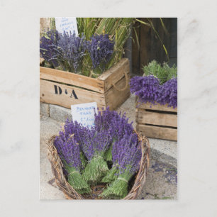Carte Postale Lavendar for sale, Provence, France